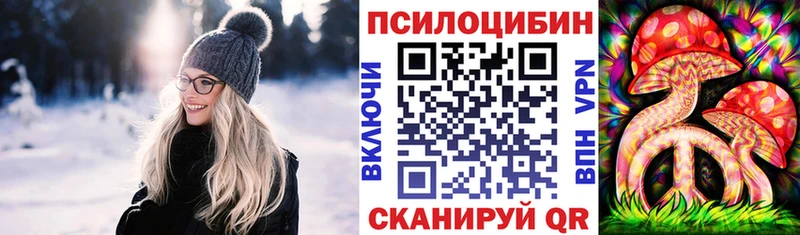 Псилоцибиновые грибы Cubensis  купить  сайты  Белинский 